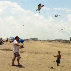 Meet your Posher, Joey